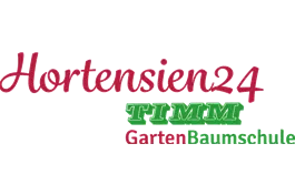 Bauernhortensie 'Magical Greenfire'® blau - Hydrangea macrophylla 'Magical Greenfire'® blau