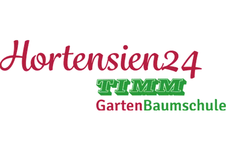 Die Schönheit der Hortensie Die Schönheit der Hortensie