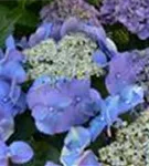 P15716_3.jpg