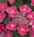 P13932_2.jpg