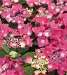 P13932_4.jpg