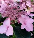 P11121_3.jpg