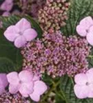 P11121_4.jpg
