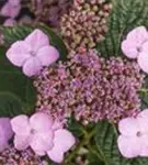P11121_4.jpg