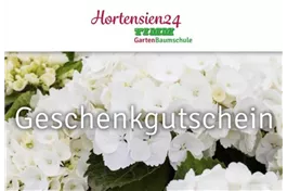 Geschenkgutschein - Gutschein