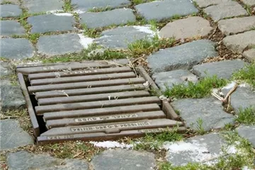 Mit natürlichen Mitteln gegen Unkraut