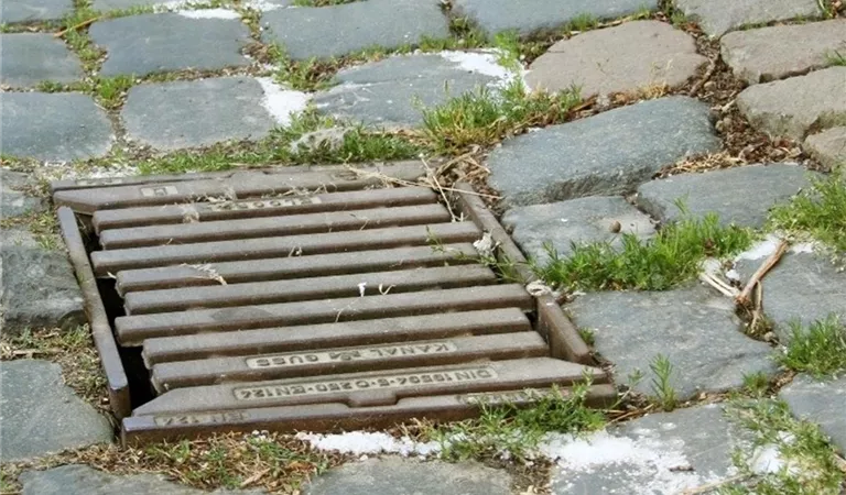 Mit natürlichen Mitteln gegen Unkraut