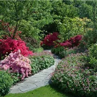 Gartenwege frei von Unkraut halten