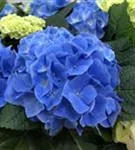 P2001829_1.jpg
