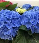 P2001829_2.jpg