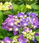 P2001413_1.jpg