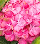 GS914299.jpg