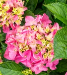GS921295.jpg