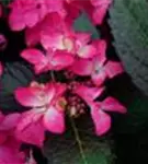 P48313_3.jpg